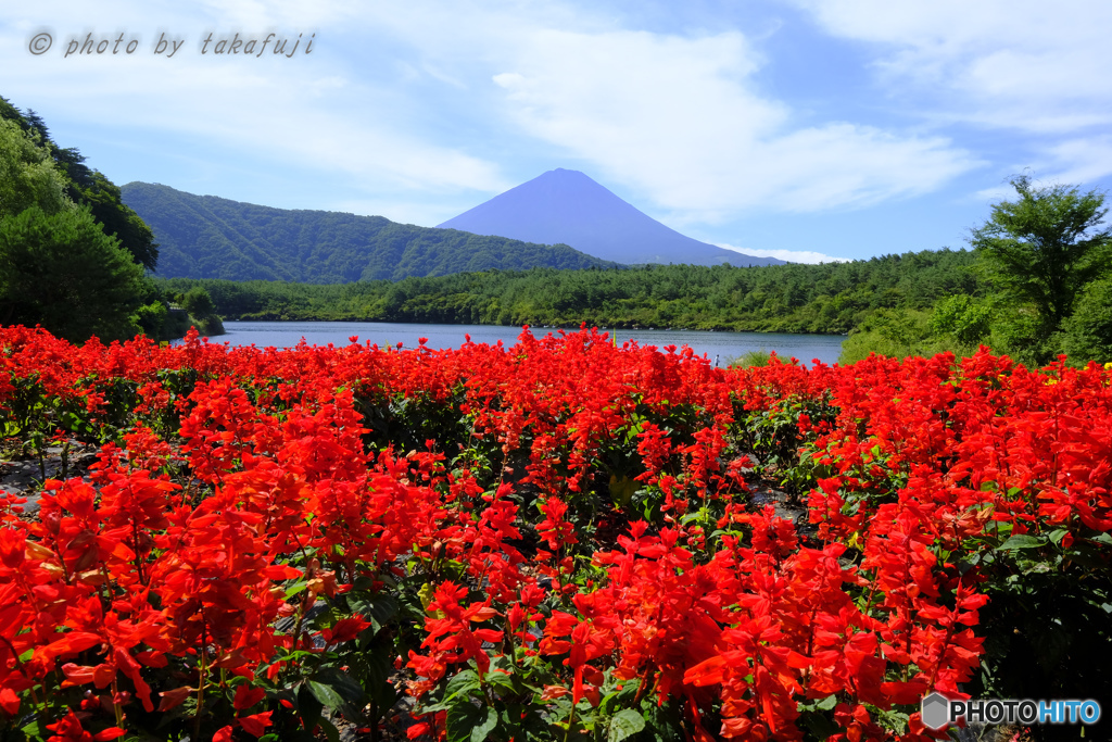 深紅の畔