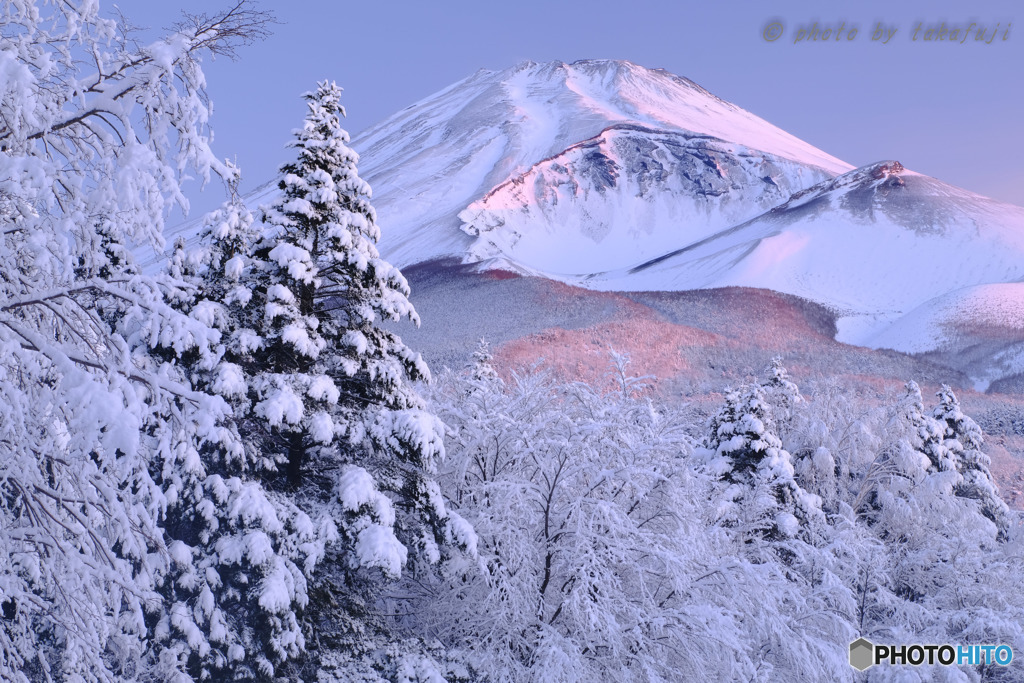 春雪染めて