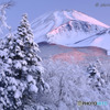 春雪染めて