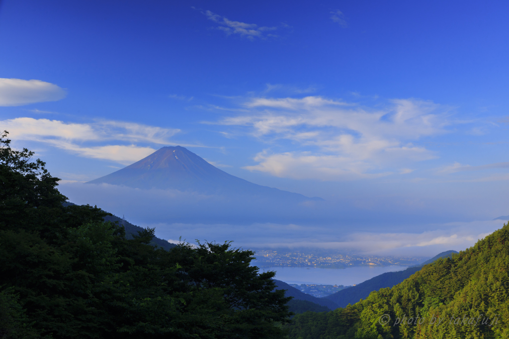 Japan Blue