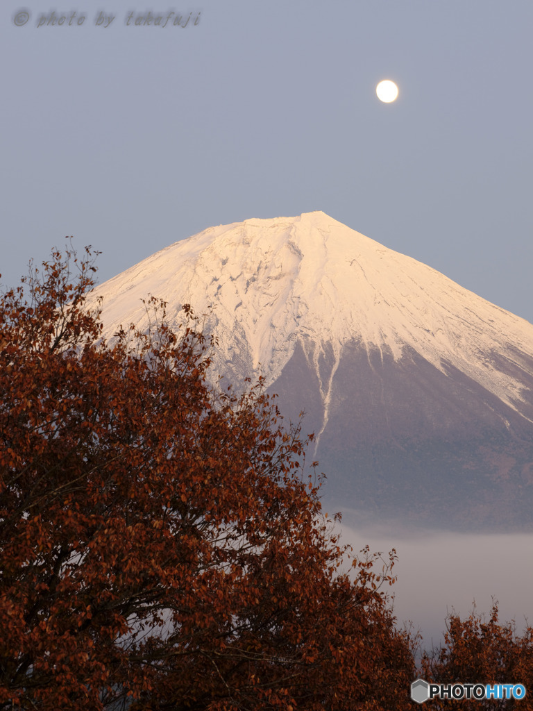 晩秋の煌月