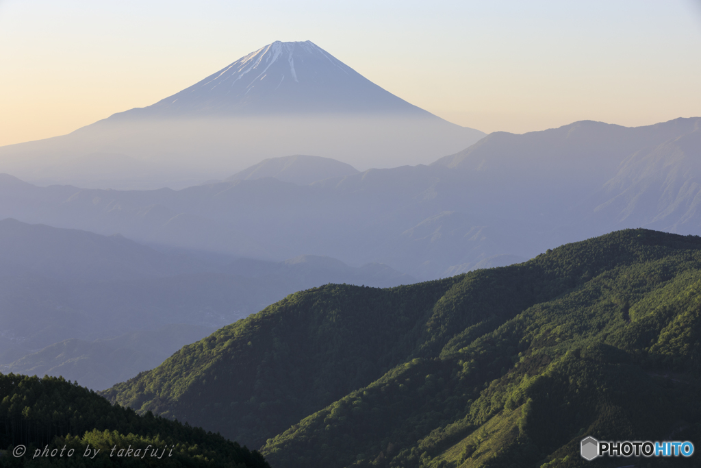 陽光に浮かぶ