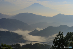 未来への懸け橋