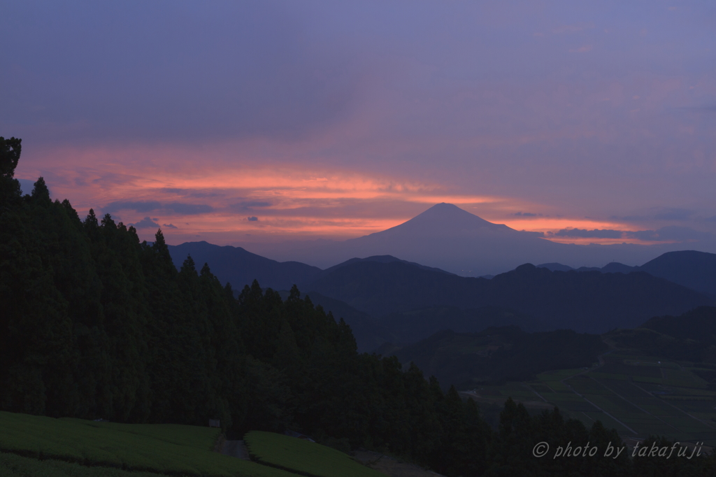 比較で・・・その１(^^ゞ