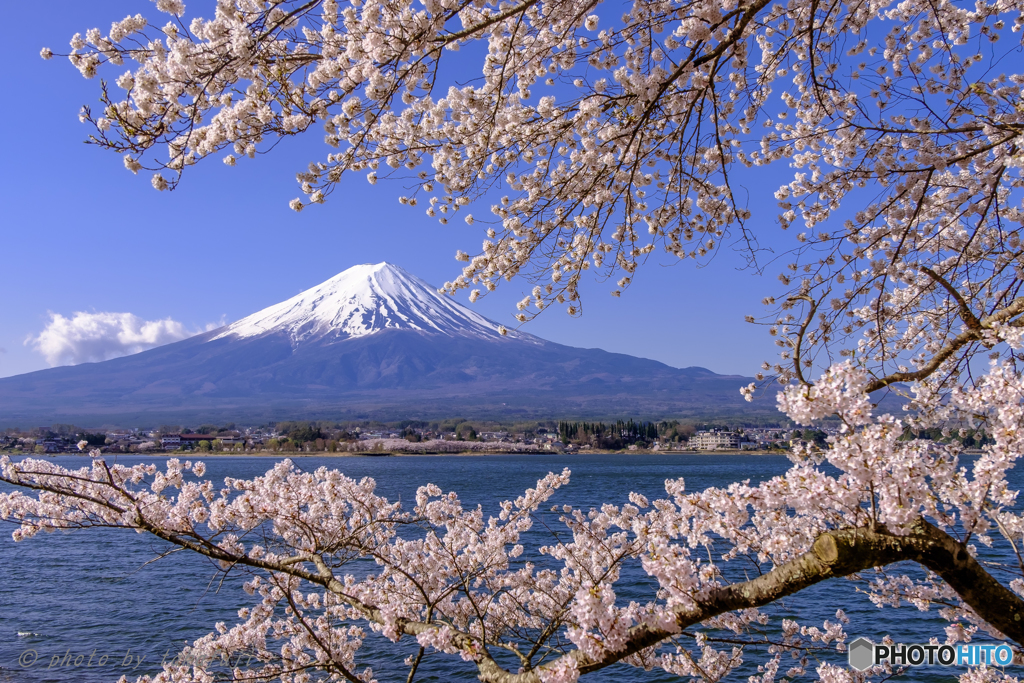 春景恋し