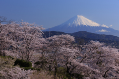 Mountain of the symbol