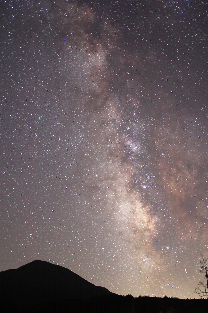 Shining Stardust 