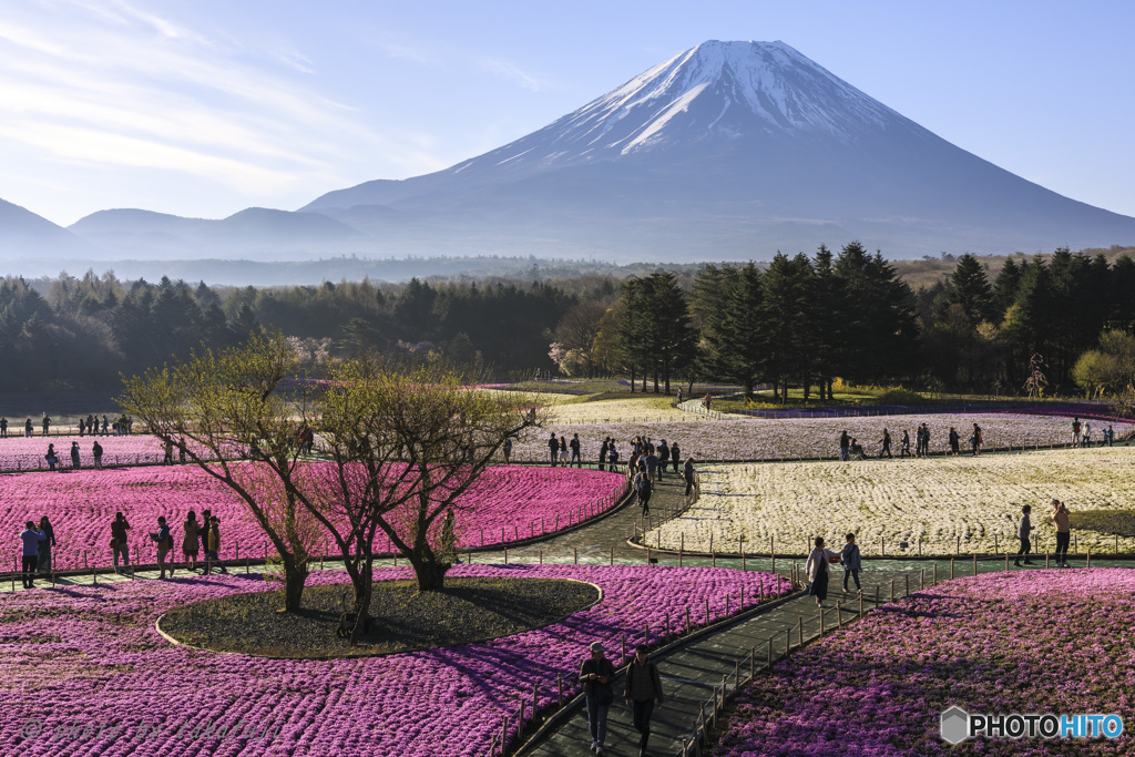 それぞれの朝