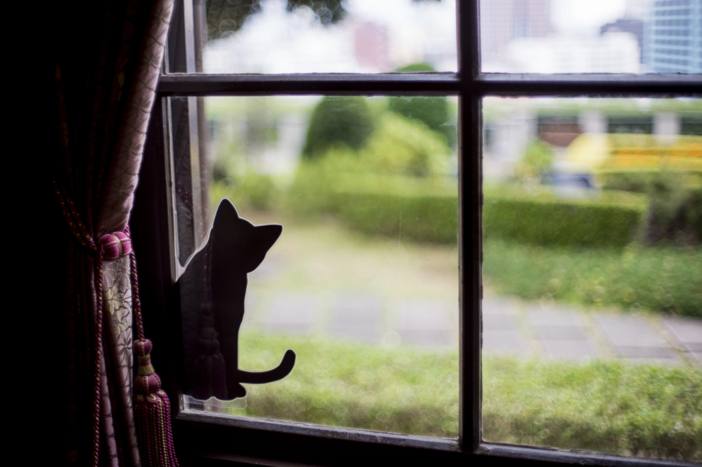 外を見る猫 By Peko50 Id 写真共有サイト Photohito