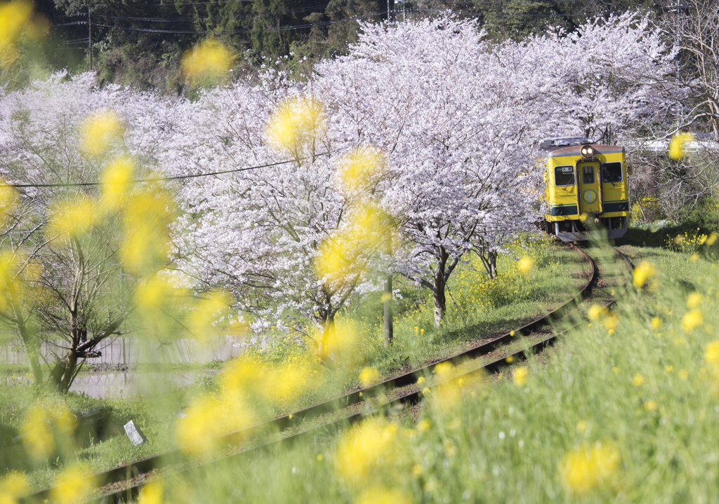 いすみ鉄道