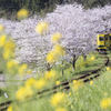 いすみ鉄道