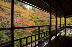 京都・瑠璃光院