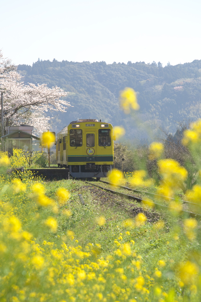 出発進行～いすみ鉄道