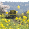 出発進行～いすみ鉄道