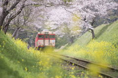 さくらトンネル～いすみ鉄道