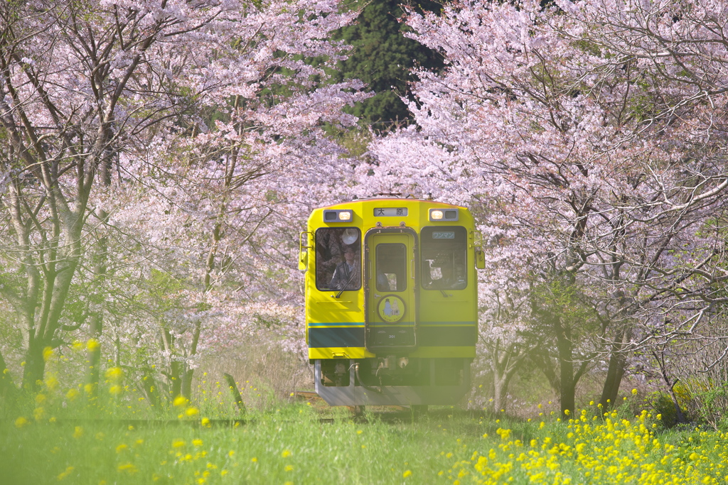 ムーミン列車～いすみ鉄道