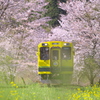 ムーミン列車～いすみ鉄道