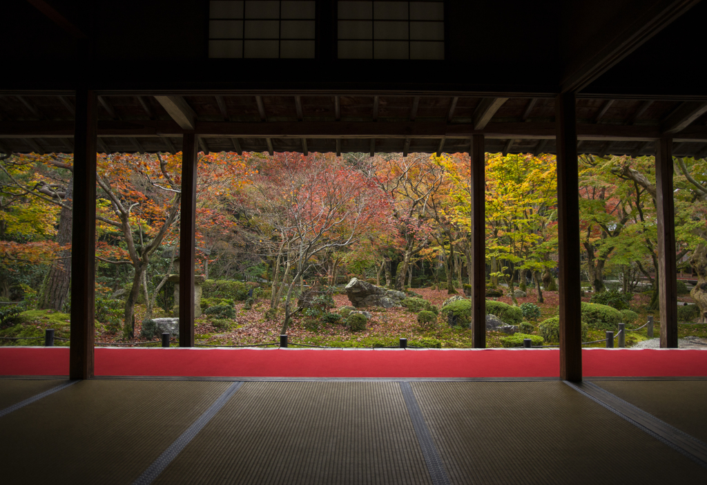 京都・圓光寺