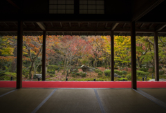 京都・圓光寺