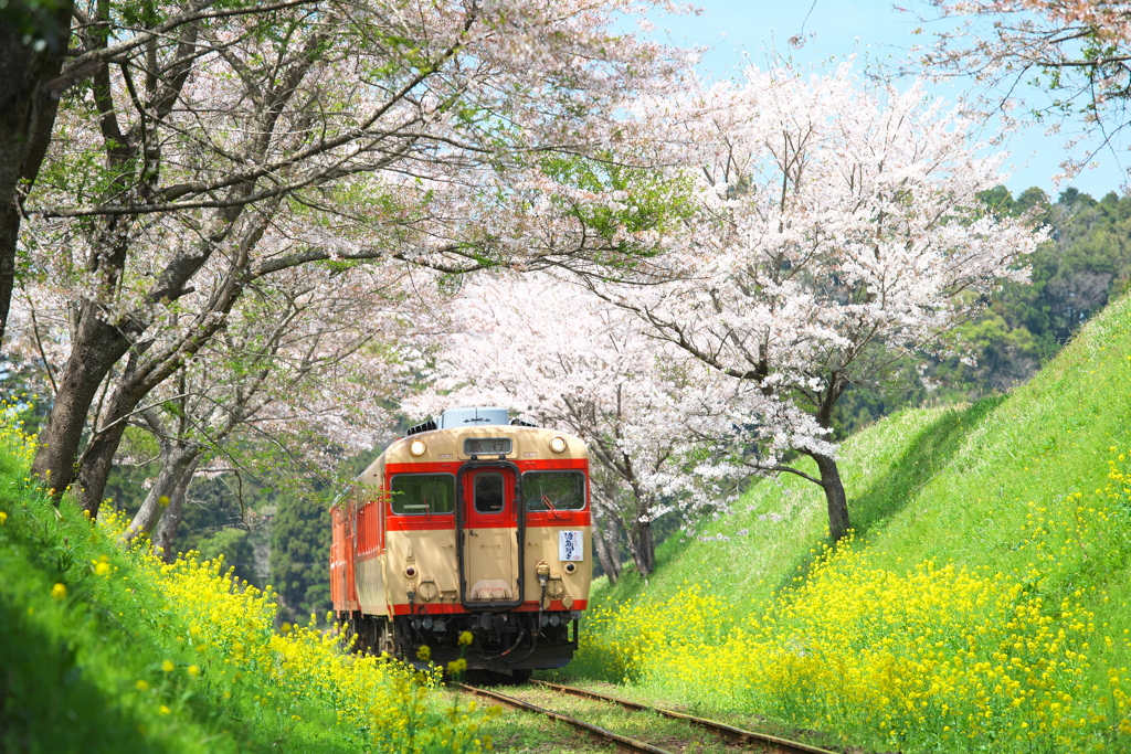 いすみ鉄道