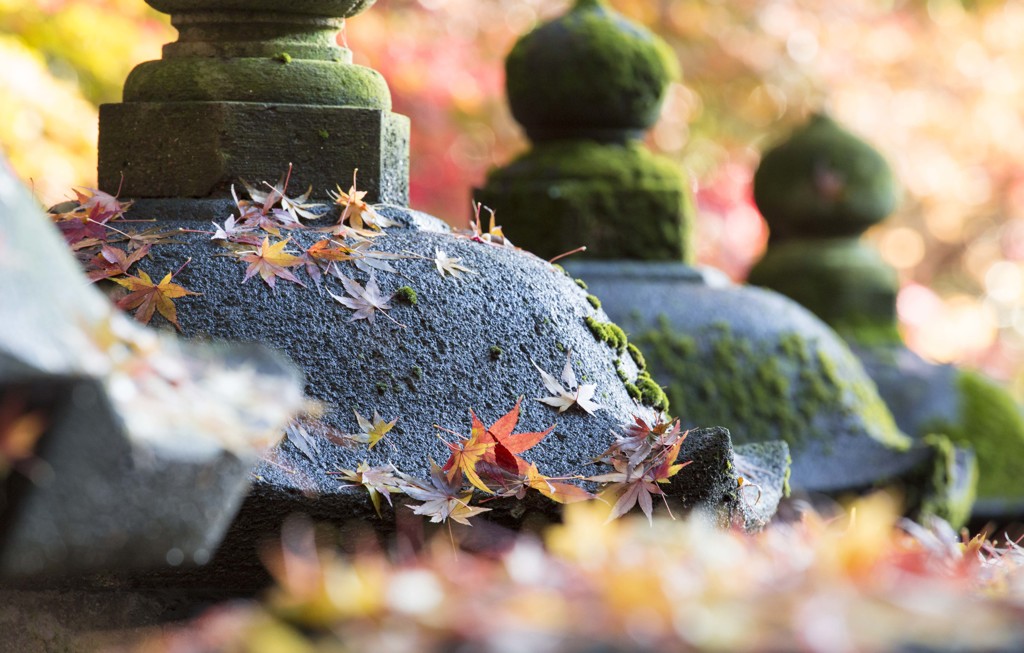 平林寺3