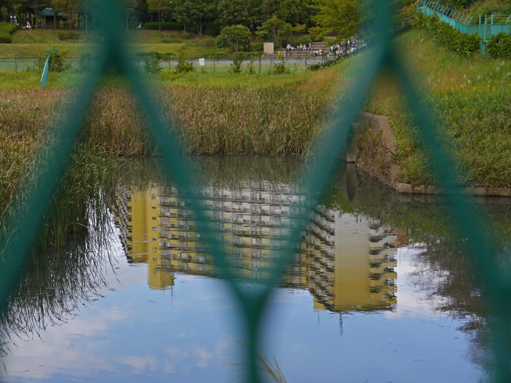 横浜若葉台公園3