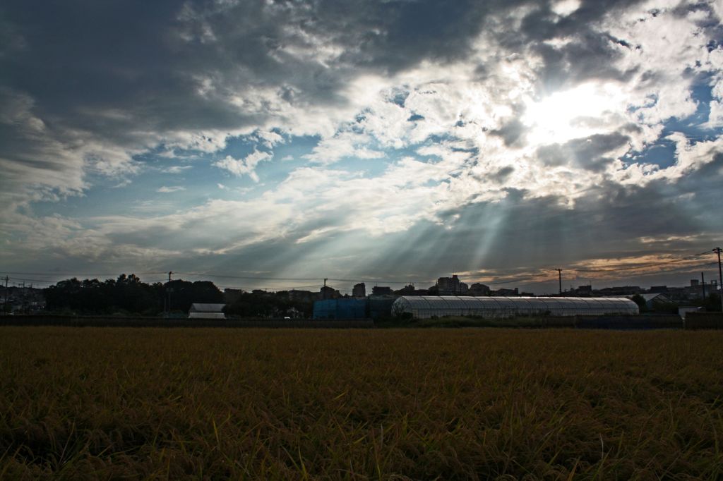 雲4