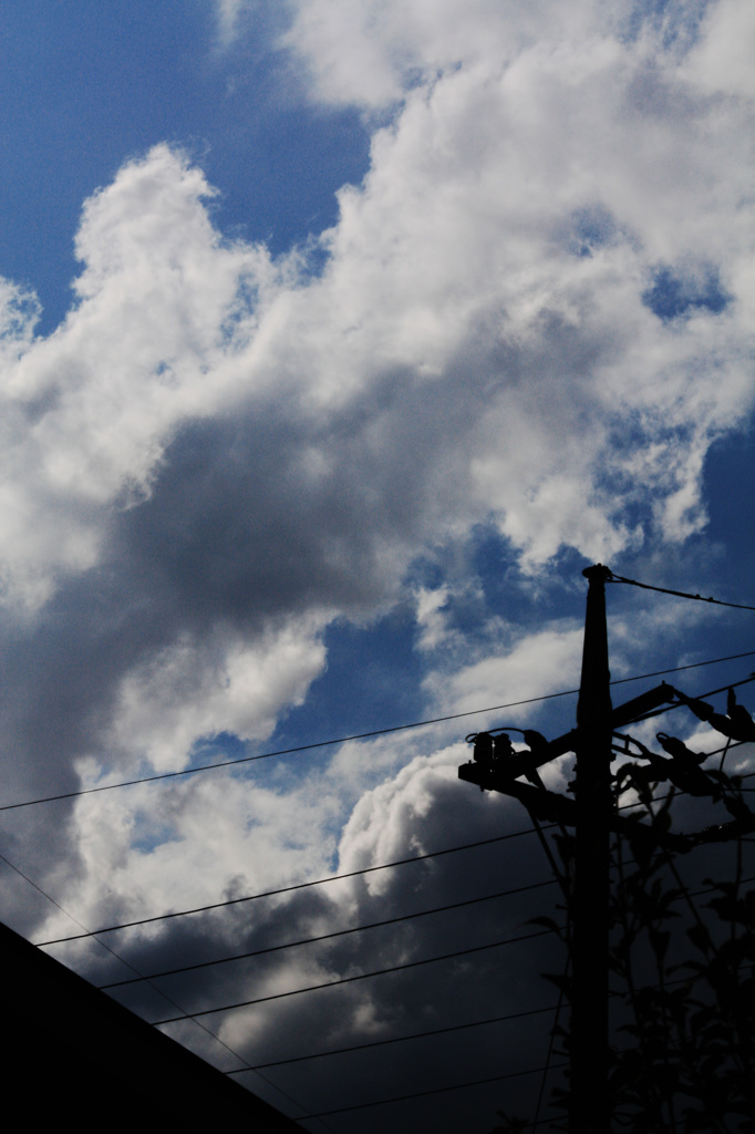 秋の雲2