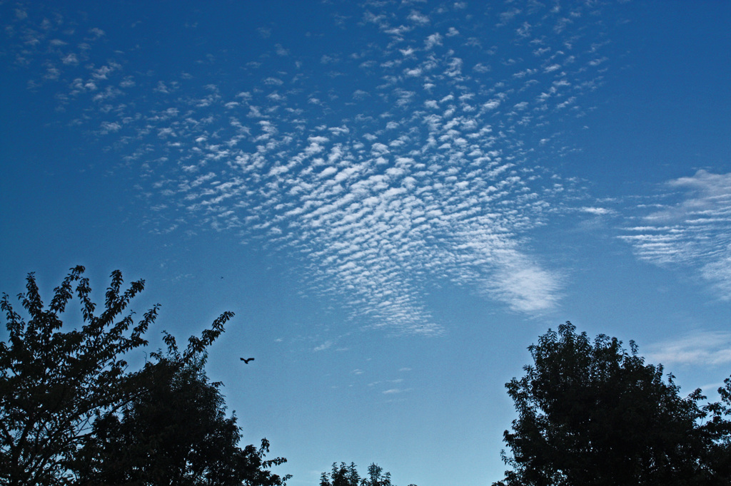 空に雲2