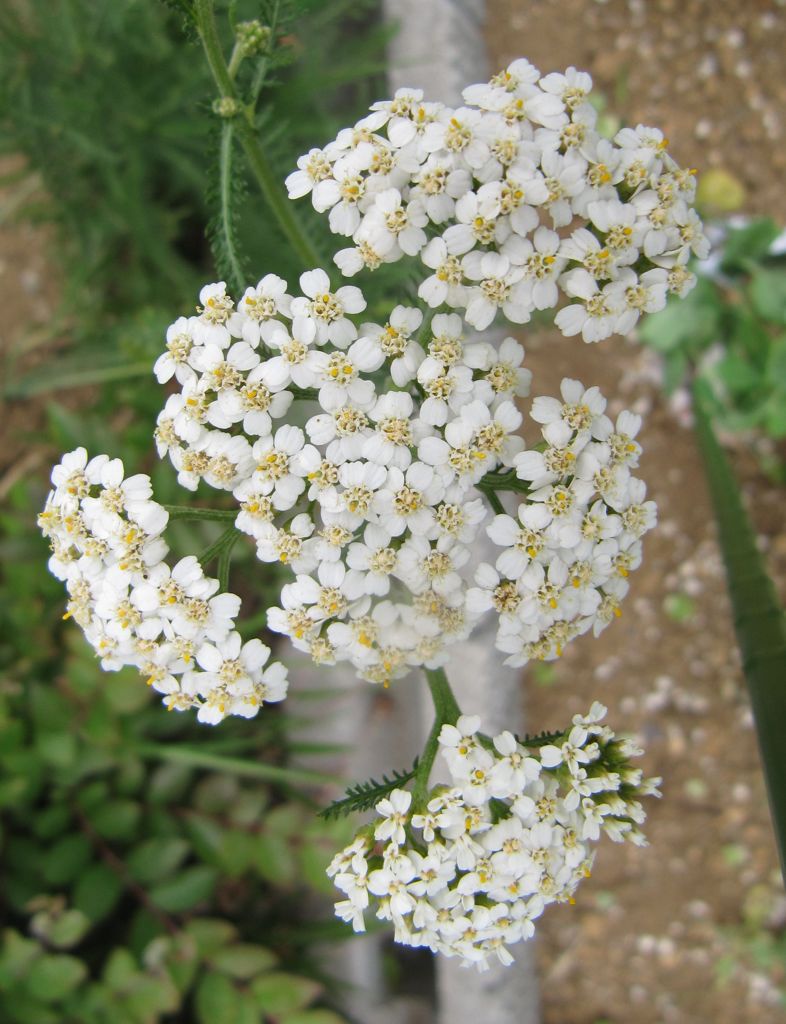 2013-06-07_072