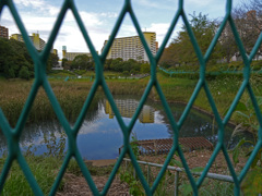 横浜若葉台公園2