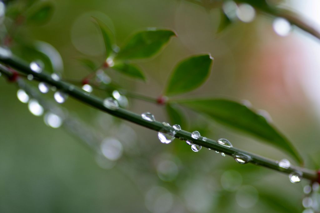 水滴8