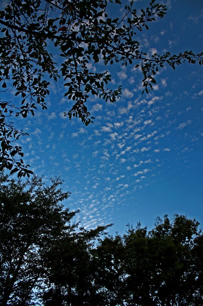 空に雲1