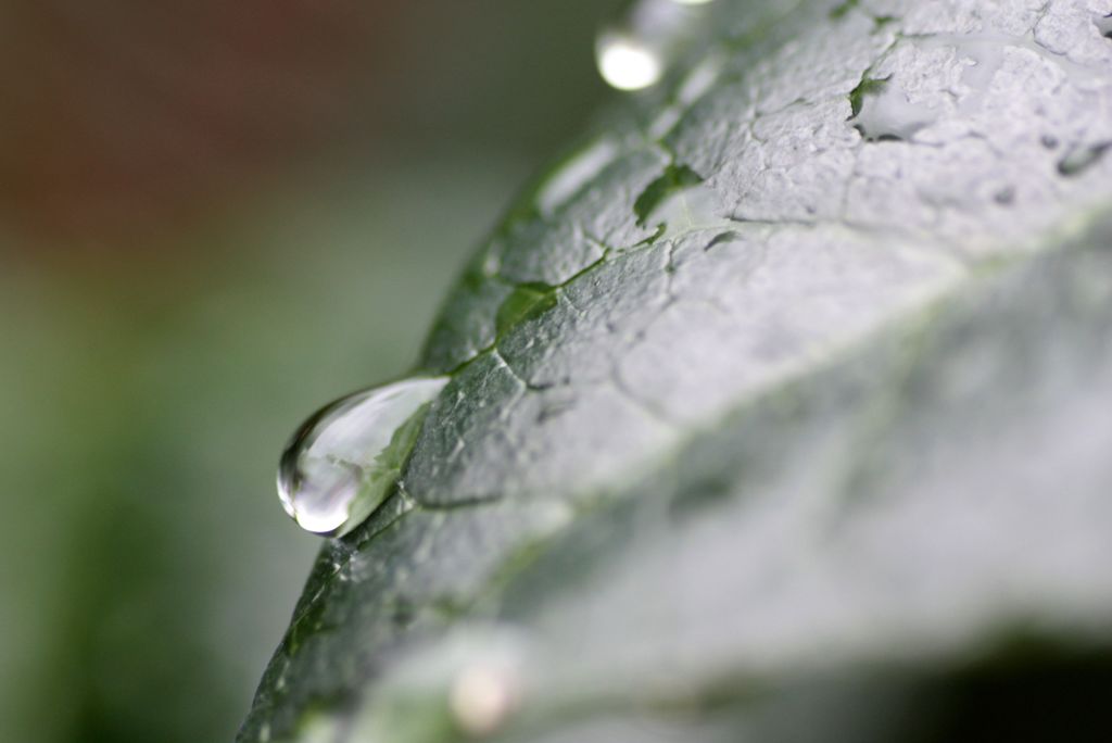 水滴1