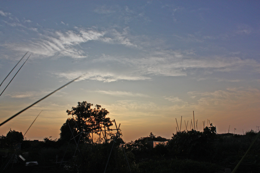 ある日の夕景1