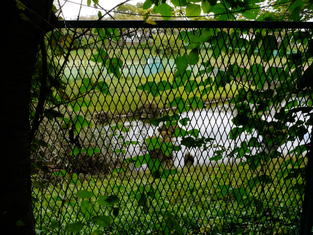 横浜若葉台公園1