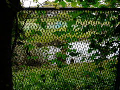 横浜若葉台公園1
