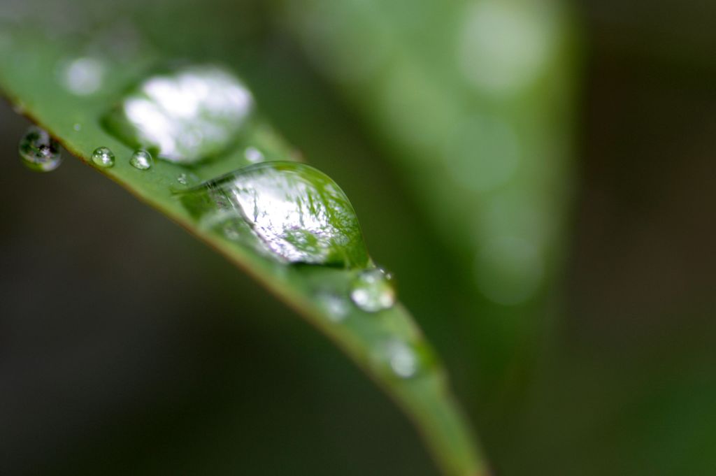水滴4