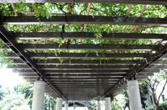 横浜の高層住宅団地で。