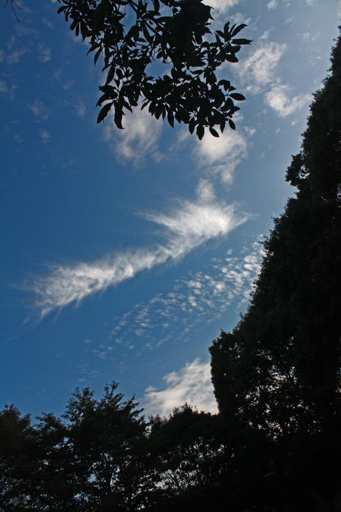 空に雲4