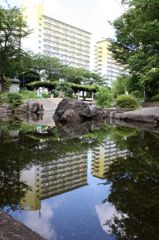 横浜の高層住宅団地で。
