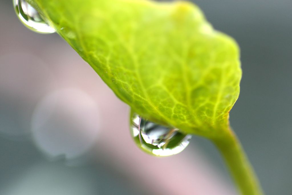 水滴2