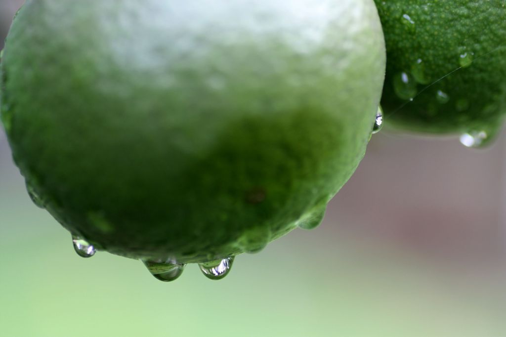 水滴7