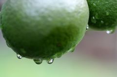 水滴7