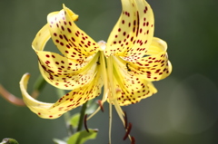 くすぐったいよ～。