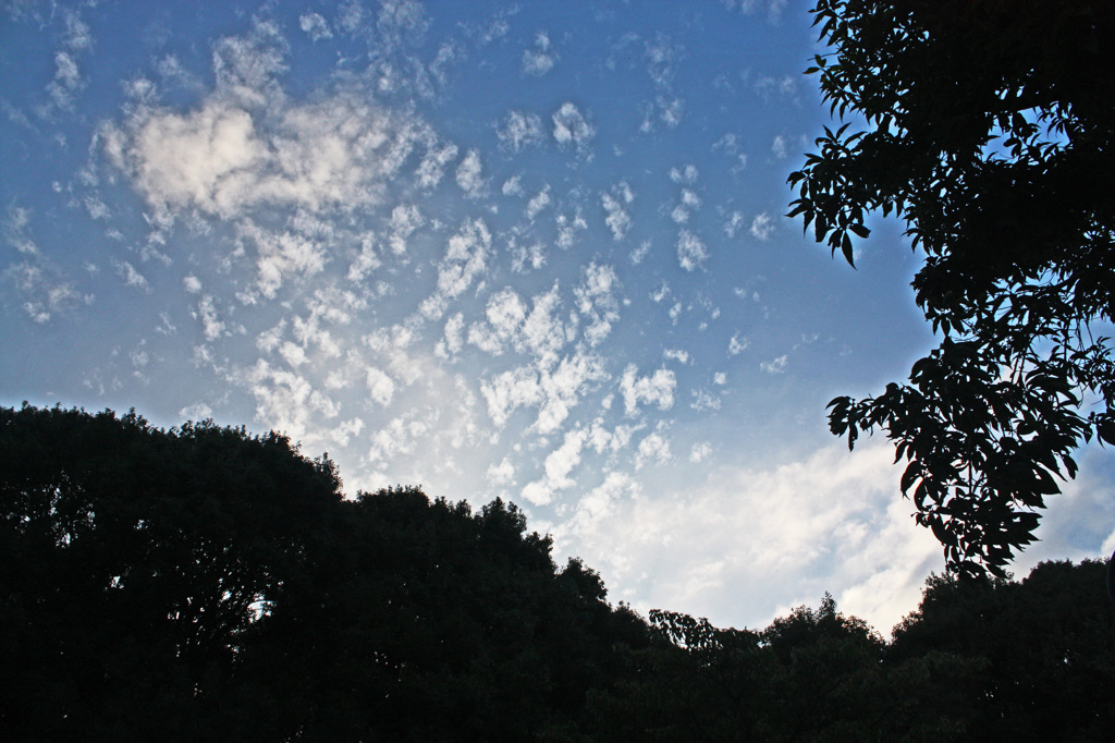 空に雲3