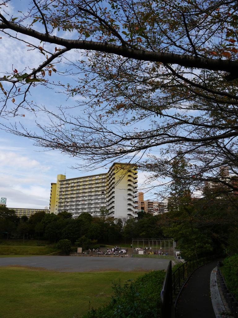 横浜若葉台公園4
