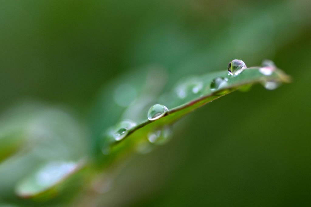水滴5