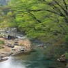 皆様、大型連休ご苦労様でした。