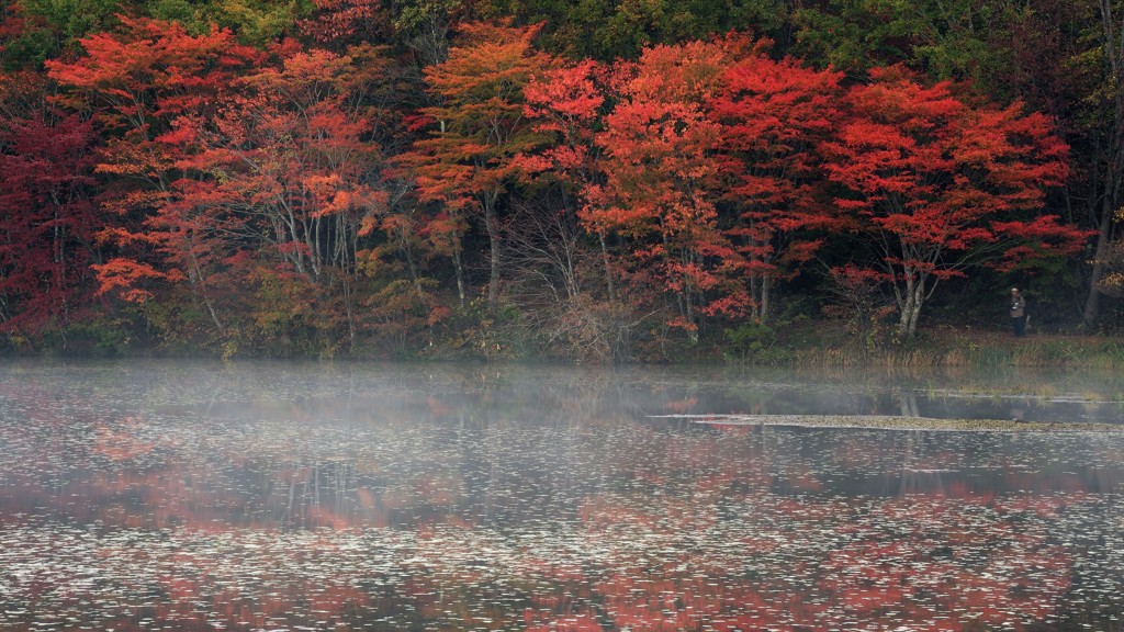 紅の回廊 